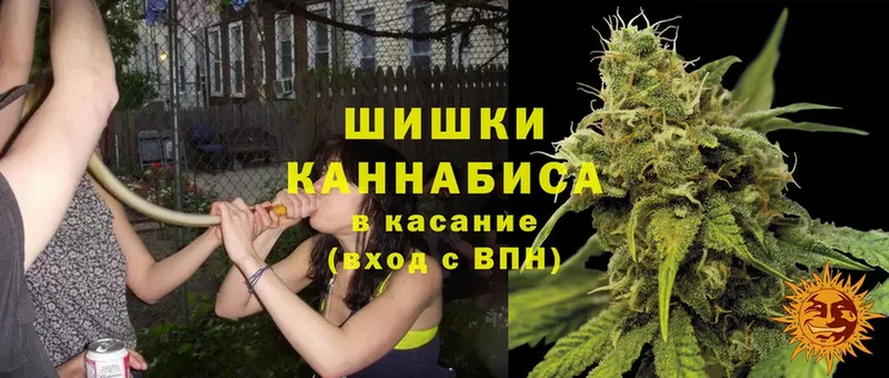 наркота  Горячий Ключ  Марихуана Bruce Banner 